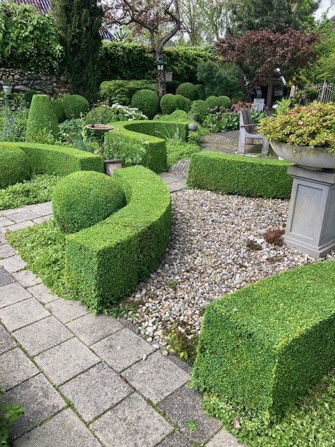 Tuinpad met in vorm gesnoeide buxus