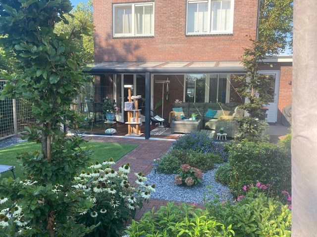 Moderne stadstuin met bestrating en beplanting