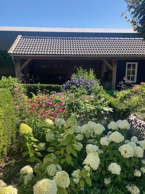 Hortensia's langs een houten veranda
