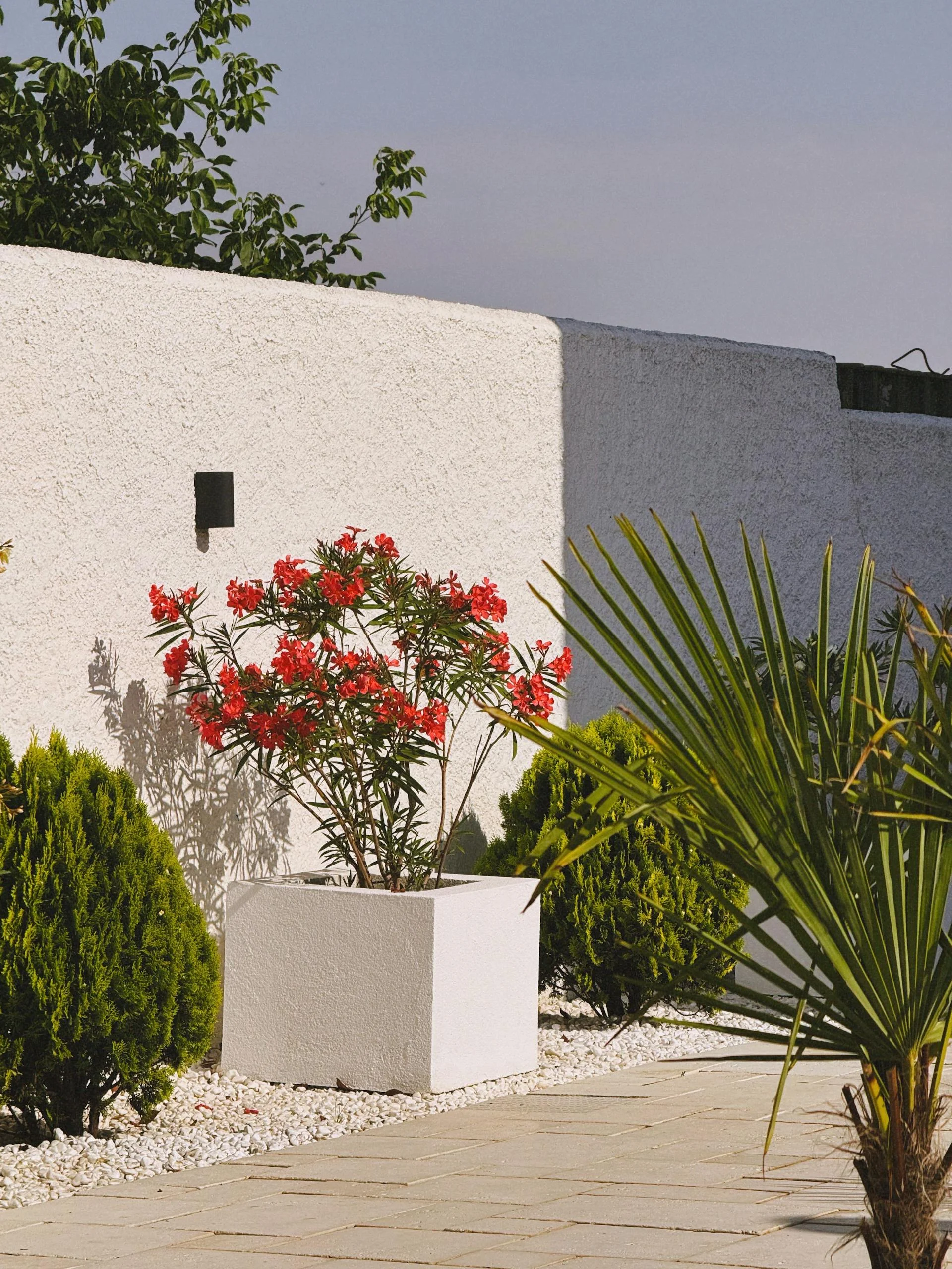 Moderne aangelegde tuin met veel beplanting