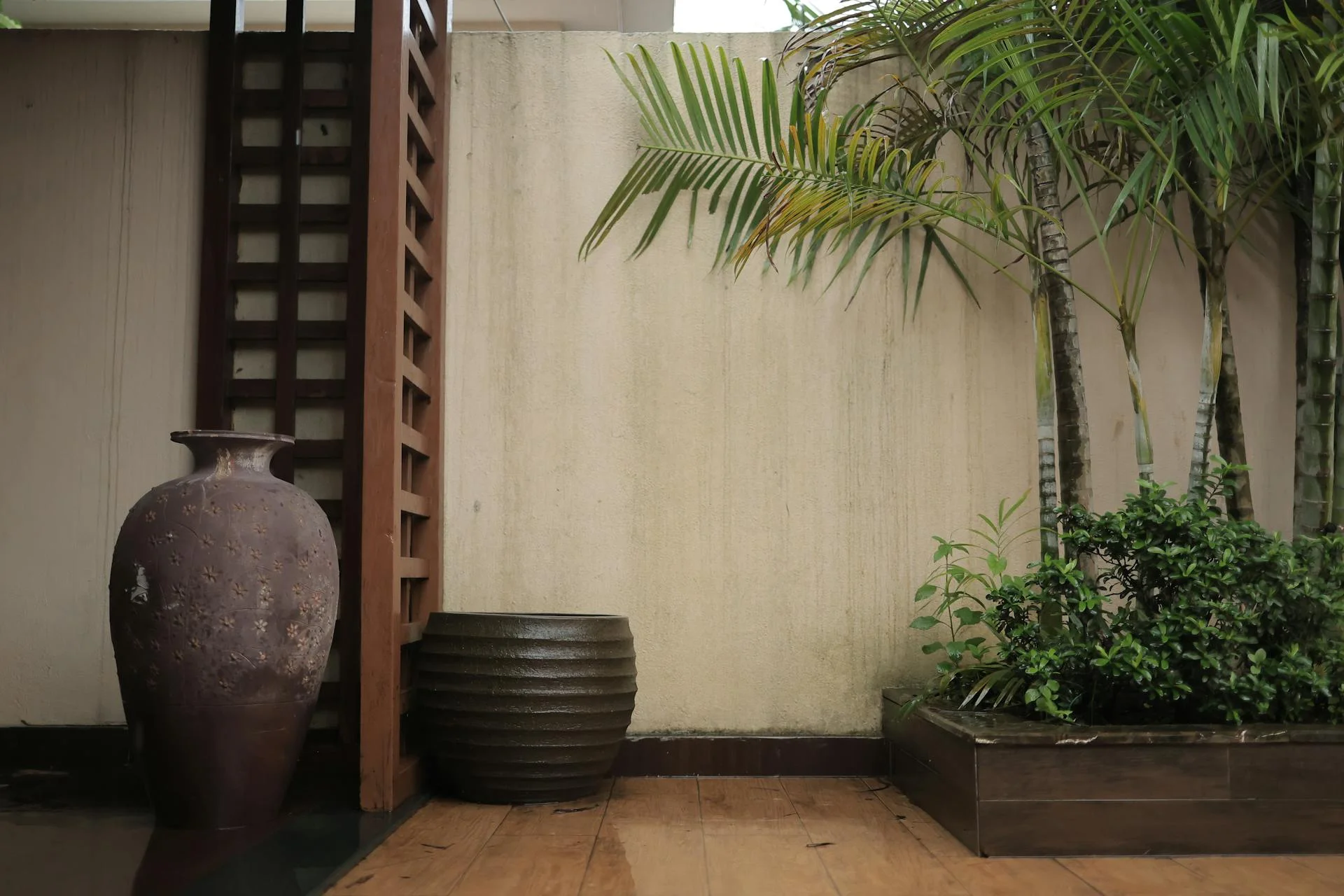 Moderne tuin met doordachte beplanting